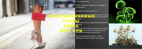 мет Балахна