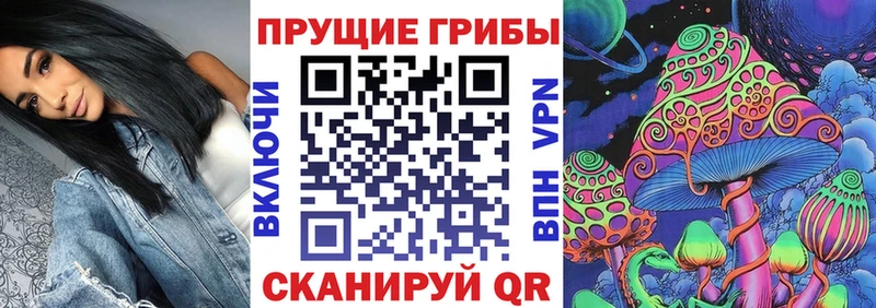 наркотики  Нязепетровск  Псилоцибиновые грибы Psilocybine cubensis 